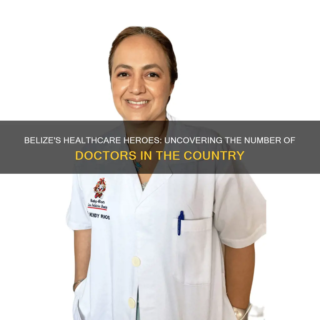 how many doctors are there in belize