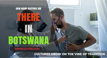 Exploring Botswana's Healthcare Workforce: Doctor Numbers and Distribution