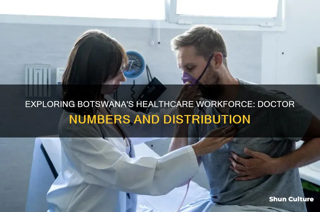 how many doctors are there in botswana