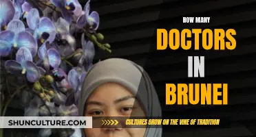 Brunei's Healthcare System: Doctor Numbers and Availability