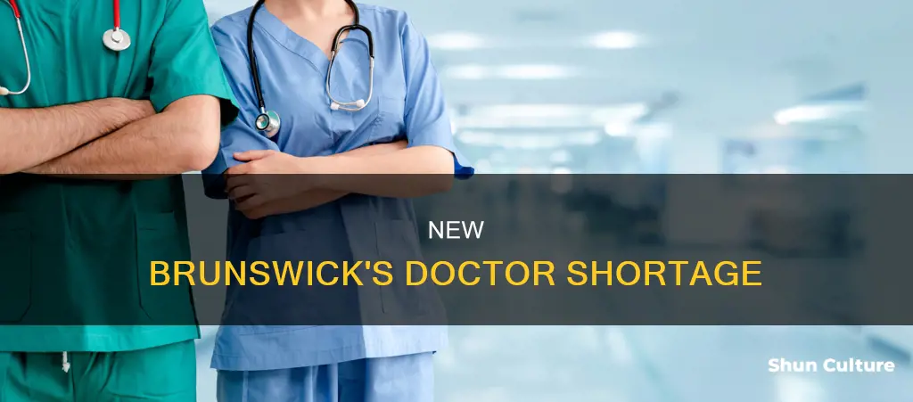 how many doctors in new brunswick