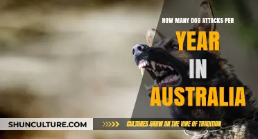 Annual Dog Attack Statistics in Australia: Understanding the Frequency and Impact