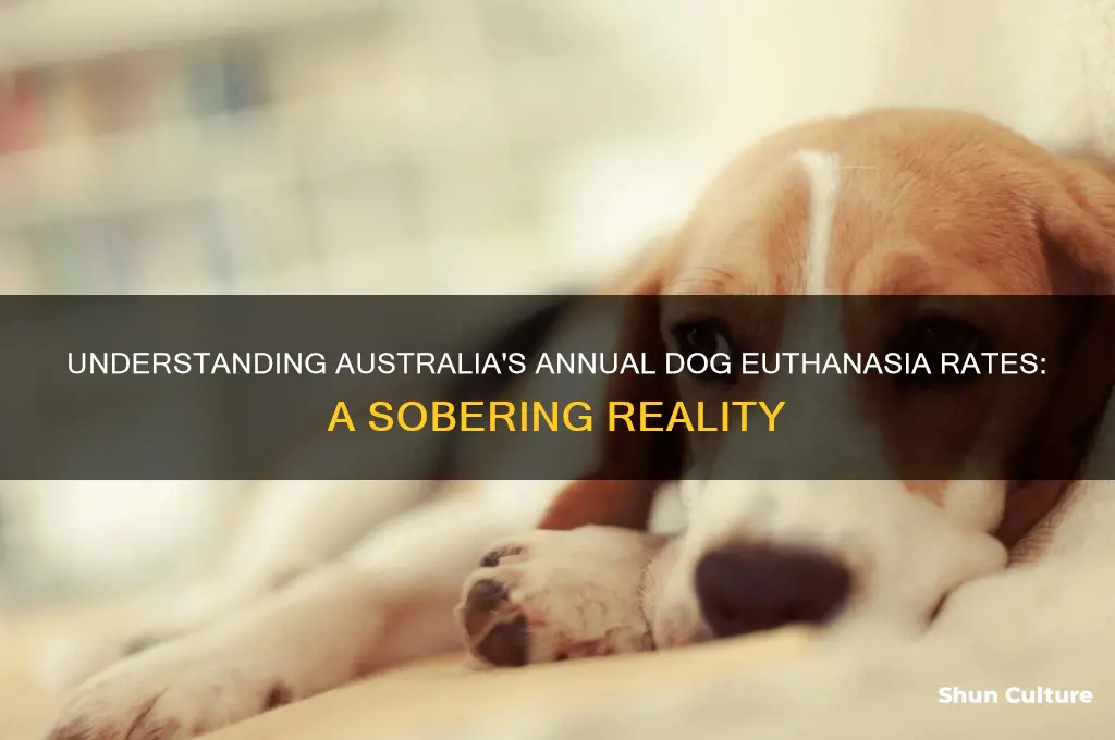 how many dogs are put down each year in australia