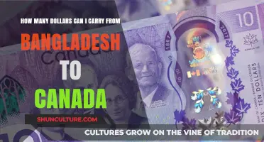 Traveling from Bangladesh to Canada: Currency Limits and Tips