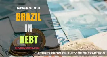Brazil's Debt Crisis: Understanding the Country's Financial Obligations