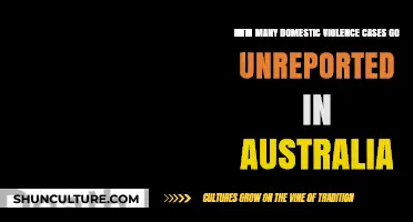 Unseen Scars: Unreported Domestic Violence Cases in Australia Revealed