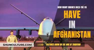 The US Military's Extensive Drone Presence in Afghanistan