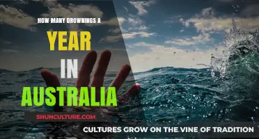 Australia's Annual Drowning Toll: Shocking Statistics and Prevention Tips