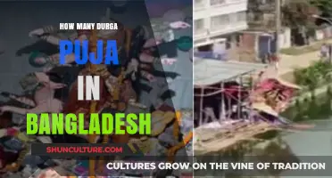 Exploring the Vibrant Celebrations of Durga Puja Across Bangladesh