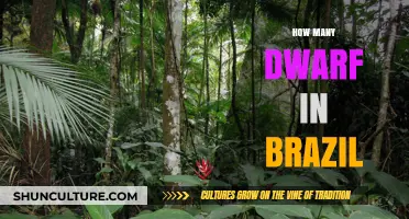 Exploring the Dwarf Population in Brazil: Facts and Figures