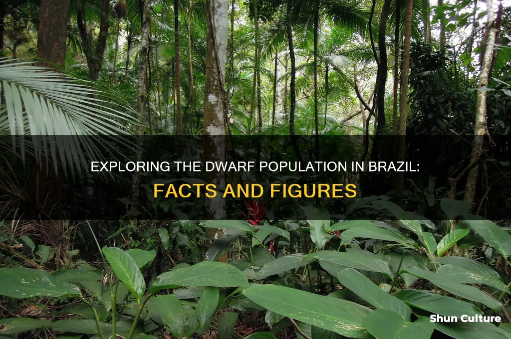 how many dwarf in brazil