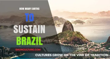 Sustaining Brazil: How Many Earths Would It Take?