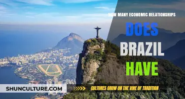 Brazil's Global Economic Connections: Exploring Its Diverse Trade Partnerships