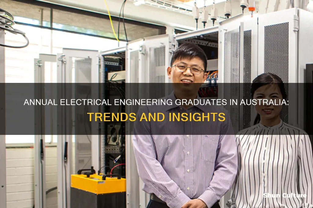 how many electrical engineers graduate each year in australia