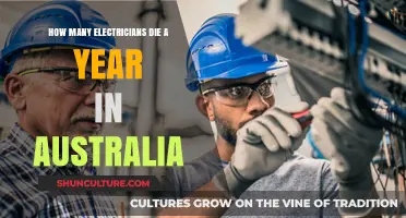 Electrician Fatalities in Australia: Annual Statistics and Safety Insights