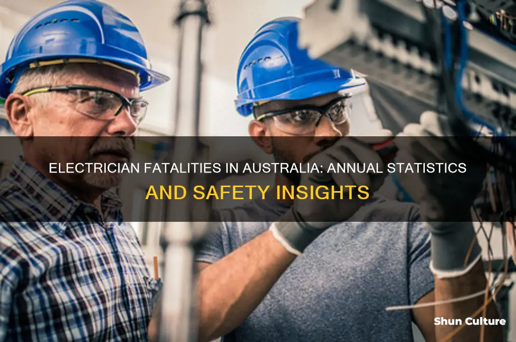 how many electricians die a year in australia