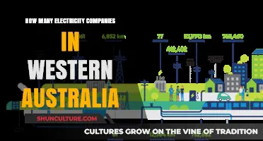 Electricity Companies in Western Australia: How Many Are There?