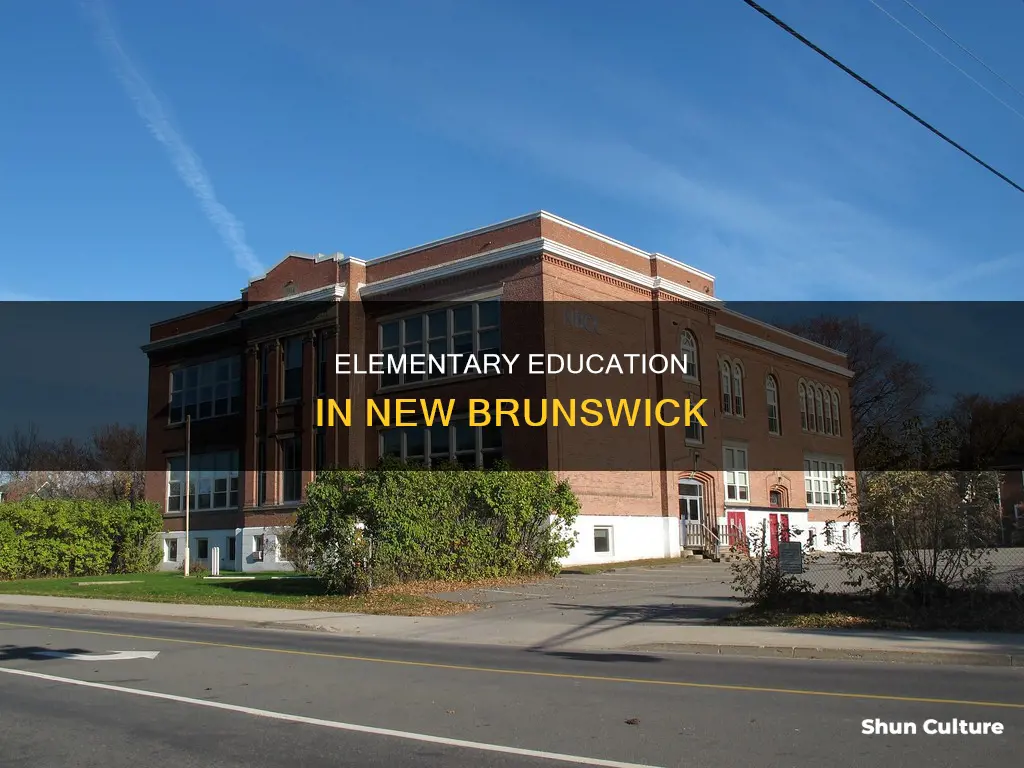 how many elementary schools in new brunswick