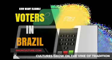 Brazil's Voter Eligibility: Understanding the Size of the Electorate