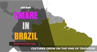 Exploring Brazil's Emergency Medical Services: How Many EMAs Operate?