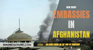 A Diplomatic Presence: Examining the Number of Embassies in Afghanistan