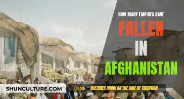 The Graveyard of Empires: A History of Fallen Powers in Afghanistan