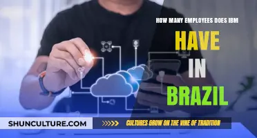IBM's Workforce in Brazil: Exploring Employee Count and Impact