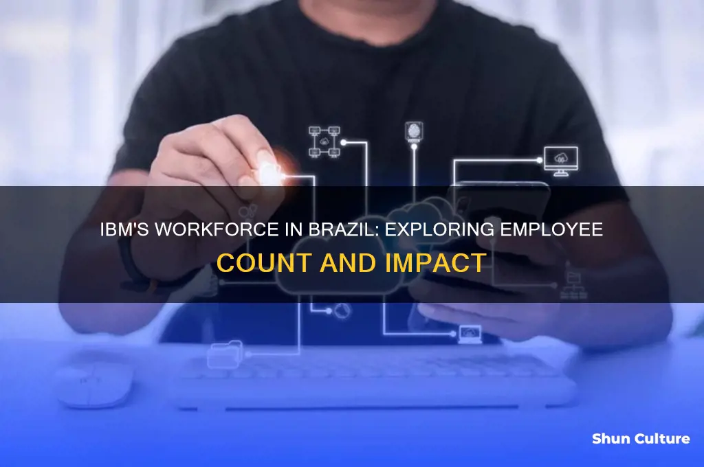 how many employees does ibm have in brazil