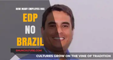 EDP's Workforce in Brazil: Unveiling the Employee Count