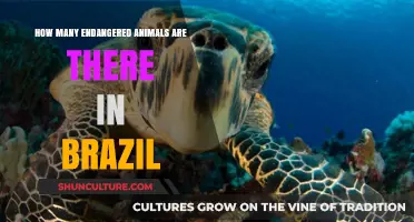 Exploring Brazil's Endangered Species: A Comprehensive Count and Conservation Overview