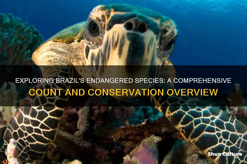 how many endangered animals are there in brazil