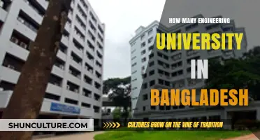 Exploring the Number of Engineering Universities in Bangladesh