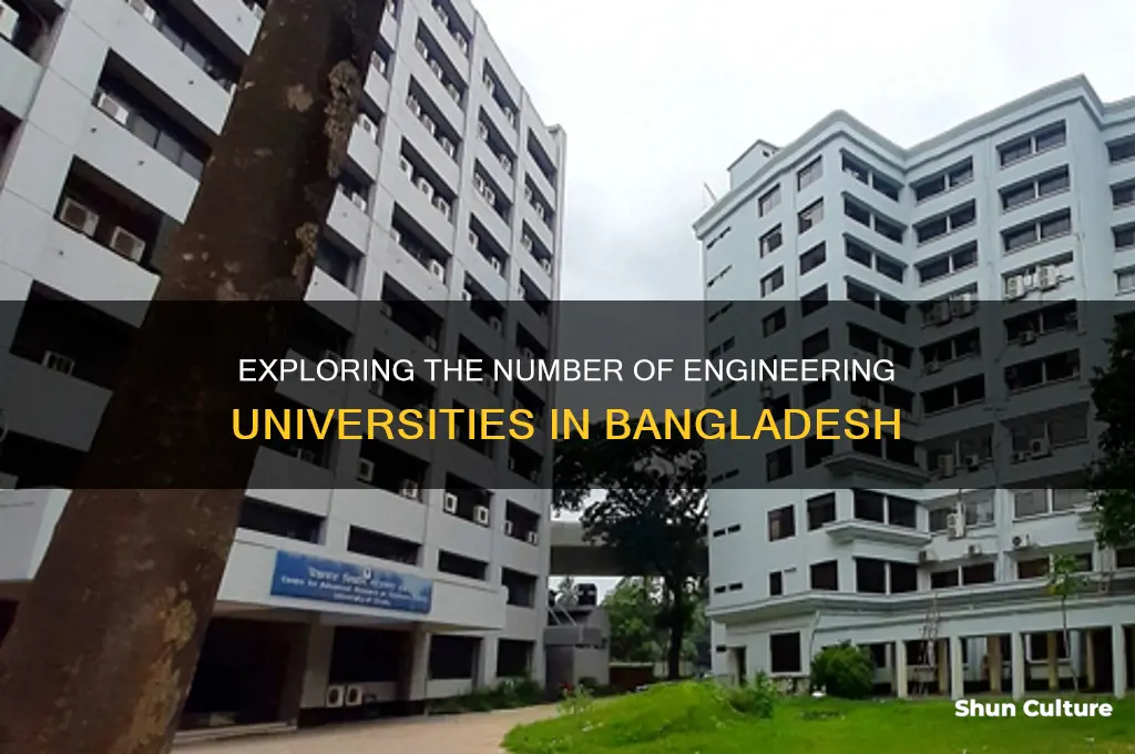 how many engineering university in bangladesh