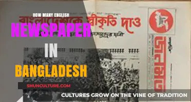 Exploring Bangladesh's English Newspapers: A Comprehensive Count and Overview