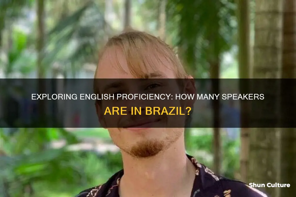 how many english speakers are in brazil