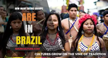 Exploring Brazil's Rich Cultural Mosaic: Ethnic Diversity Unveiled