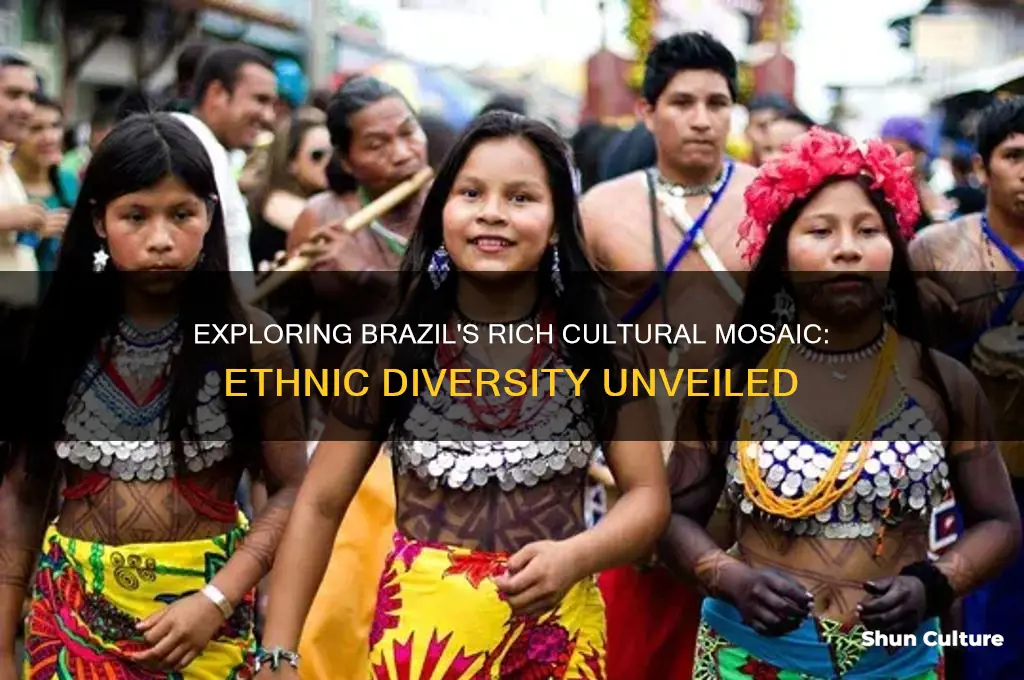 how many enthic groups are in brazil