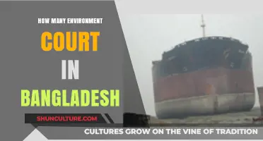 Exploring Bangladesh's Environmental Courts: Count and Legal Framework