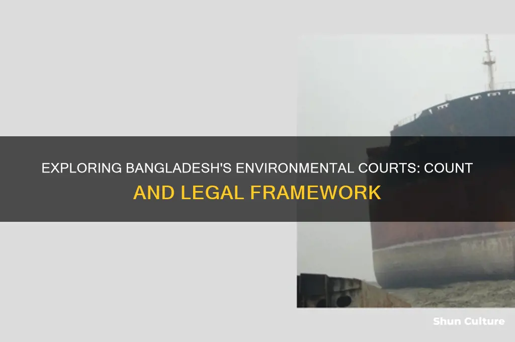 how many environment court in bangladesh