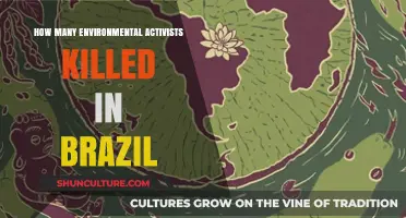 Brazil's Environmental Defenders: Rising Death Toll and Urgent Concerns