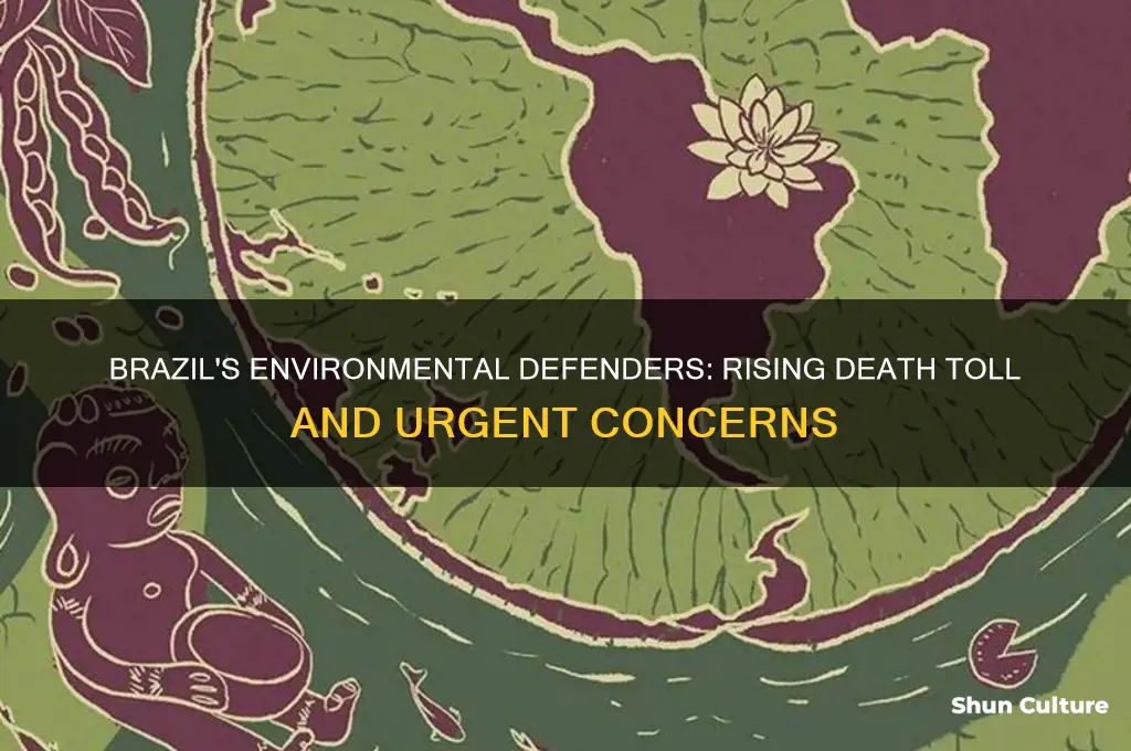 how many environmental activists killed in brazil