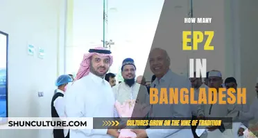 Exploring Bangladesh's Economic Zones: A Comprehensive EPZ Count Guide