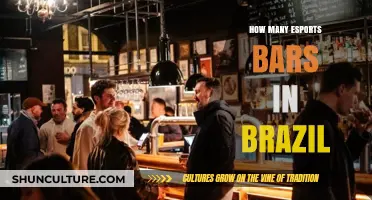 Exploring Brazil's Thriving Esports Scene: A Look at Gaming Bars
