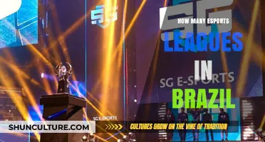 Exploring Brazil's Thriving Esports Scene: Leagues and Competitions