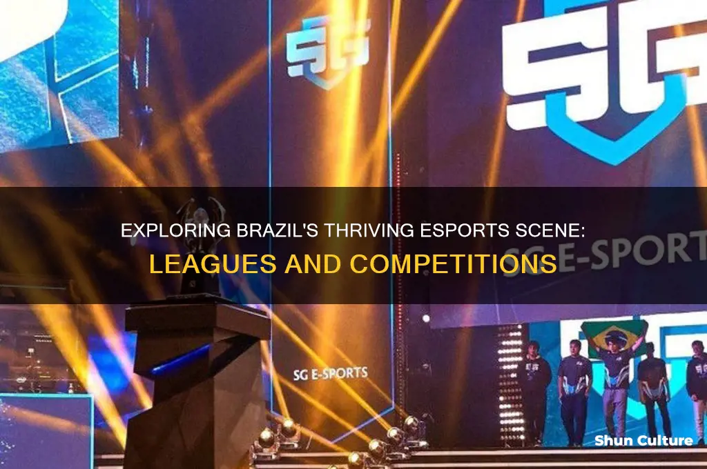 how many esports leagues in brazil