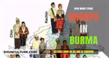 Exploring the Rich Diversity of Ethnic Groups in Burma