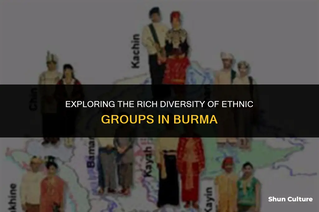 how many ethiic groups in burma