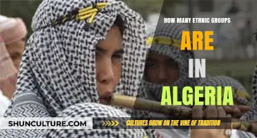 Exploring Algeria's Rich Cultural Mosaic: Ethnic Diversity Unveiled