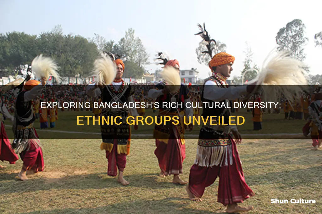 how many ethnic groups are in bangladesh