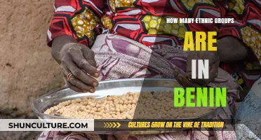 Exploring the Rich Ethnic Diversity of Benin: A Comprehensive Guide